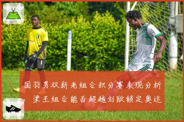 国羽男双新老组合积分赛表现分析,梁王组合能否超越刘欧锁定奥运席位?